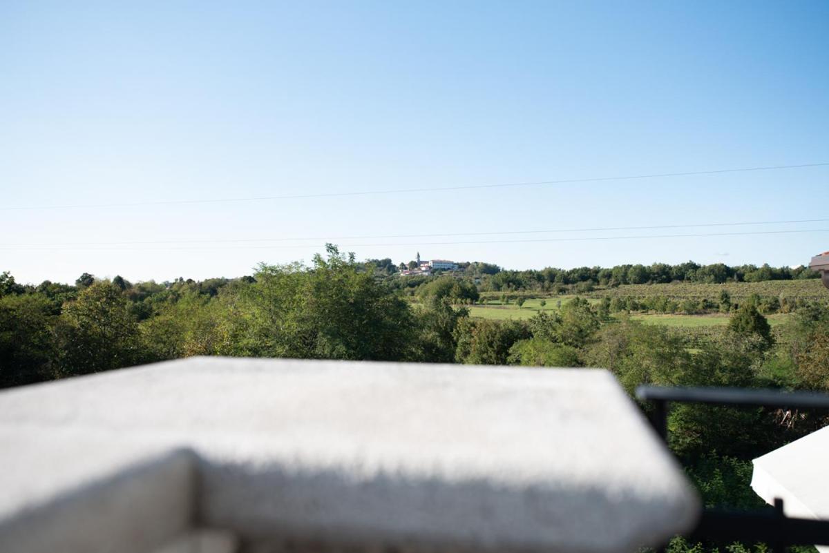 Castle House Rooms, Swimming Pool & Sauna & Tennis Court & Wine Cellar Sežana Zewnętrze zdjęcie