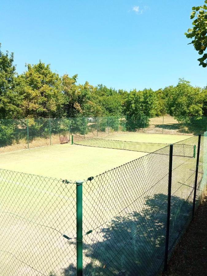 Castle House Rooms, Swimming Pool & Sauna & Tennis Court & Wine Cellar Sežana Zewnętrze zdjęcie